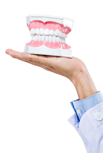 Prosthodontics - Professional Dental